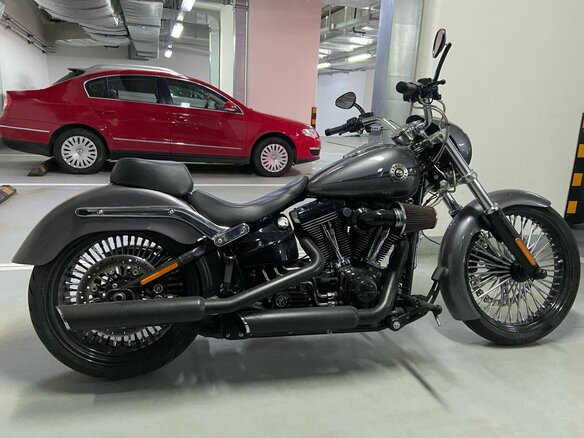 2015 Harley-Davidson Breakout, серый, 3000000 рублей - вид 6