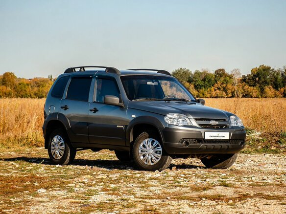 2015 Chevrolet Niva I Рестайлинг, серый, 570000 рублей - вид 4