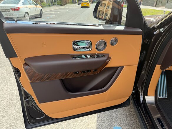 2019 Rolls-Royce Cullinan I (Series I), коричневый - вид 9