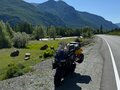2012 Honda CBF 1000, чёрный, 710000 рублей - вид 4