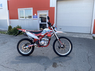 2026 Wels MX250R, белый, 107400 рублей, вид 2