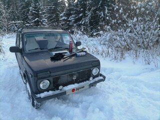 2002 Lada (ВАЗ) 2121 (4x4) I Рестайлинг, фиолетовый, 250000 рублей, вид 3