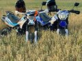 2019 Racer Panther, голубой, 65000 рублей - вид 2