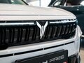 2026 Voyah Free I Рестайлинг, белый, 6940000 рублей - вид 9