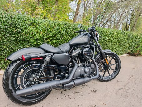 2017 Harley-Davidson Sportster 883, чёрный, 650000 рублей, вид 5