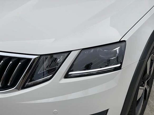 2019 Skoda Octavia III (A7) Рестайлинг, белый - вид 14