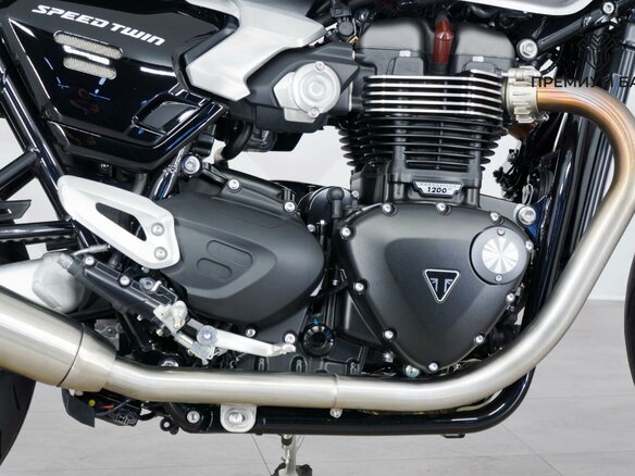 2026 Triumph Speed Twin, серебристый, 1599000 рублей - вид 9