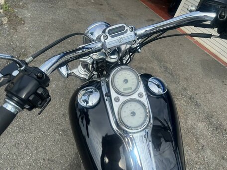 2009 Harley-Davidson Dyna Low Rider, серебристый, 727000 рублей, вид 5