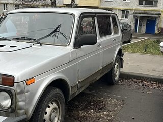 2010 Lada (ВАЗ) 2131 (4x4) Рысь I, серый, 350000 рублей, вид 2