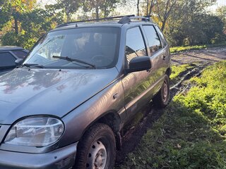 2004 Chevrolet Niva I, серый, 170000 рублей, вид 2