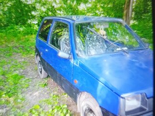 2003 Lada (ВАЗ) 1111 Ока КамАЗ, синий, 120000 рублей, вид 3