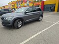 2020 Skoda Kodiaq I, серый, 2500000 рублей - вид 1