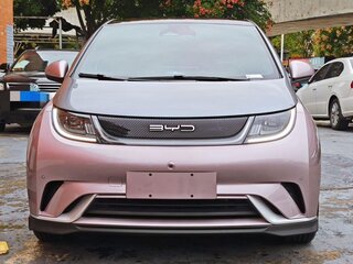 2023 BYD Dolphin 44.9 kWh I, розовый, 1400000 рублей, вид 2