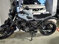 2023 Honda CL 300, серый, 550000 рублей - вид 1