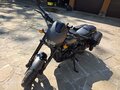 2020 Harley-Davidson Street Rod, чёрный, 1250000 рублей - вид 2