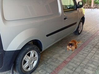 2012 Renault Kangoo II, серый, 1350000 рублей, вид 5