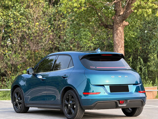 2024 Ora Good Cat 47.8 kWh I, синий, 1650000 рублей, вид 5