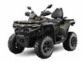 2025 CFMoto CFORCE 800 HO EPS, коричневый, 1295910 рублей