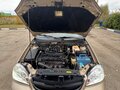 2005 Chevrolet Lacetti I, бежевый, 225000 рублей - вид 5