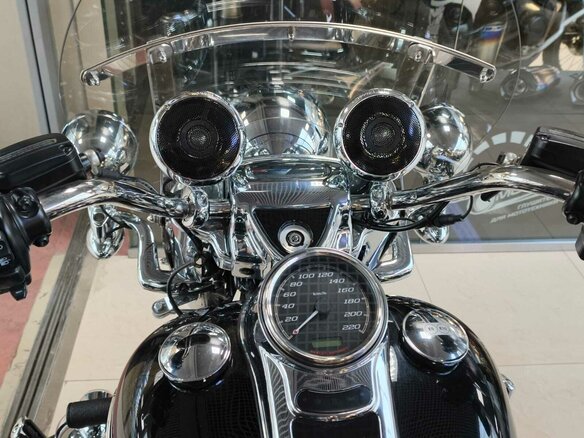 2019 Harley-Davidson Freewheeler, чёрный, 2800000 рублей - вид 10