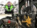 2020 Kawasaki ZX-10R Ninja, зелёный - вид 9