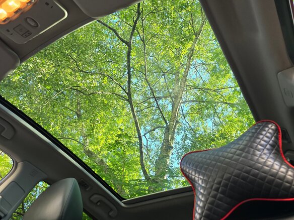 2019 Nissan Qashqai II, красный - вид 6