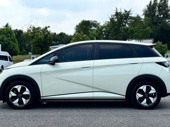 2024 BYD Dolphin 44.9 kWh I, белый, 1630000 рублей - вид 6