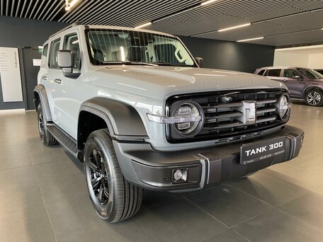 Tank 300 I