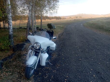 2003 Yamaha XVS400 Drag Star, белый, 450000 рублей, вид 3