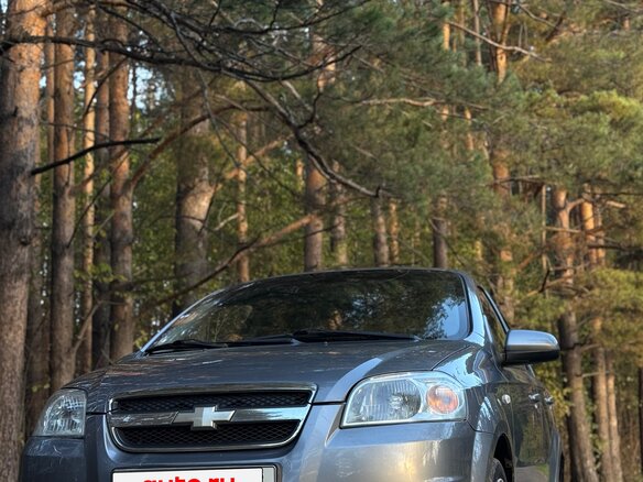 2008 Chevrolet Aveo I Рестайлинг, серый, 380000 рублей - вид 10