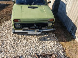 1995 Lada (ВАЗ) 2121 (4x4) I Рестайлинг, зелёный, 175000 рублей, вид 1