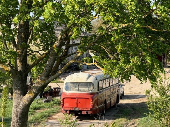 1972 Ikarus 255, красный, 2900000 рублей - вид 5
