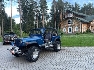 1992 Jeep Wrangler I (YJ), синий, 1369000 рублей, вид 1