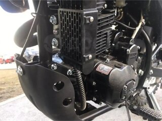 2023 Racer Panther, зелёный, 129000 рублей, вид 4