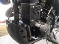 2023 Racer Panther, зелёный, 129000 рублей - вид 3
