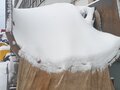 2021 МАЗ 6517, синий, 1234290 рублей - вид 3