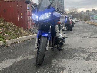 2002 Yamaha FZS1000 Fazer, синий, 350000 рублей, вид 3