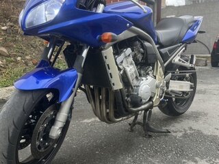 2002 Yamaha FZS1000 Fazer, синий, 350000 рублей, вид 5