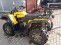 2016 Stels ATV-600YL Леопард, жёлтый, 490000 рублей - вид 6