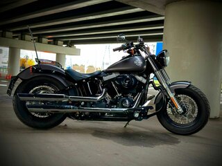 2014 Harley-Davidson Softail Slim, серый, 950000 рублей, вид 1