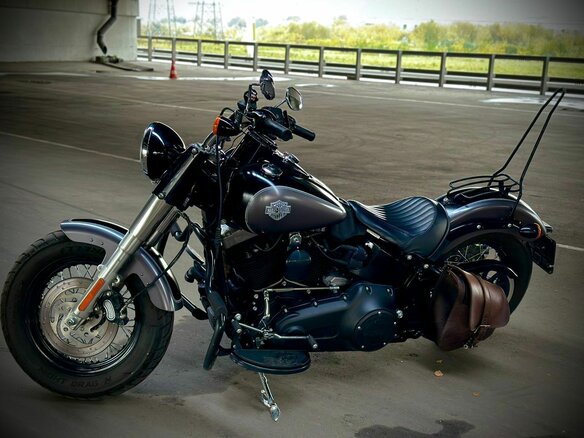 2014 Harley-Davidson Softail Slim, серый, 950000 рублей - вид 16