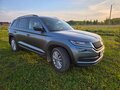 2019 Skoda Kodiaq I, серый, 2700000 рублей - вид 1