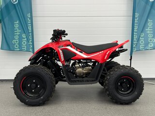 2025 CFMoto CFORCE 110, красный, 269910 рублей, вид 2