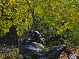 2015 Honda NC 750X, серебристый, 575000 рублей, вид 3