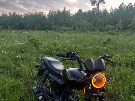 2024 Racer Alpha, чёрный, 65000 рублей, вид 1