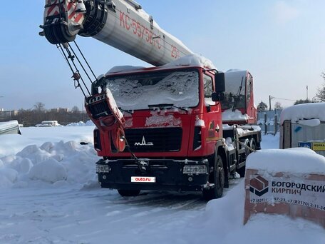 2022 МАЗ Автокраны, красный, 11000000 рублей, вид 1