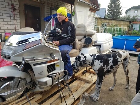 1996 Honda GL 1500 Gold Wing, белый, 500000 рублей, вид 3