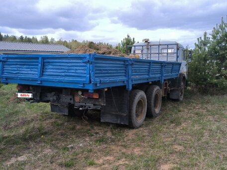 1996 КамАЗ 5321, серый, 450000 рублей, вид 1