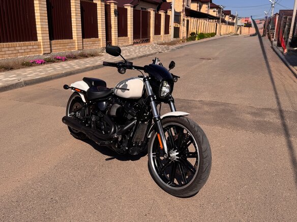 2019 Harley-Davidson Breakout, белый, 2350000 рублей - вид 7