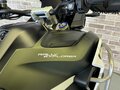 2023 Triumph Tiger 1200, зелёный, 1890000 рублей - вид 9